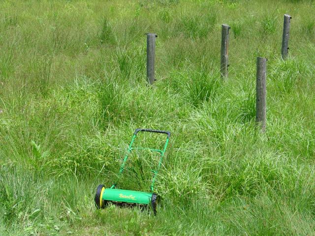 NaturCut_in_heavy_grass.JPG